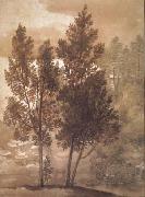 Claude Lorrain Trees (mk17) oil on canvas